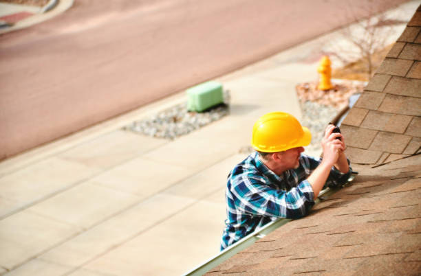 Best Roof Gutter Cleaning  in Florence, AZ